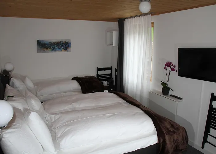 Hotel Sonnenhalde Wiesen